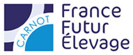 Logo FFE