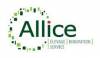 logo_allice